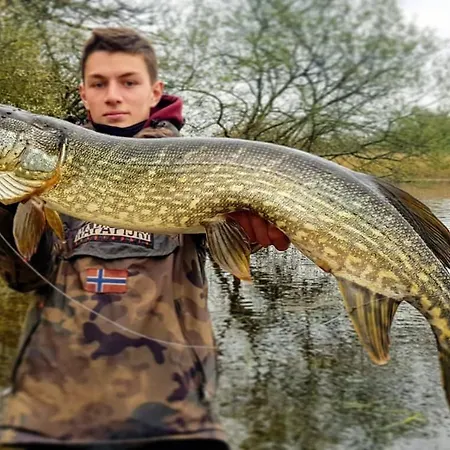 Castlehamilton And Activity Centre Semesterbostad Cavan