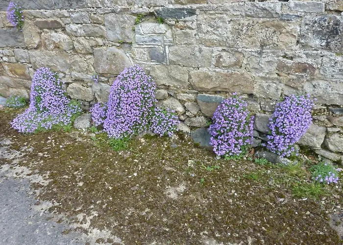 Dom wakacyjny Castlehamilton And Activity Centre Cavan