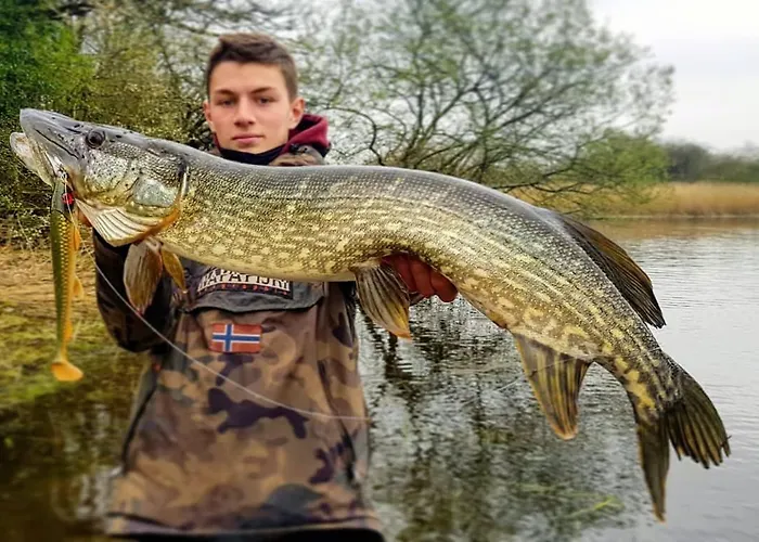 Castlehamilton And Activity Centre Dom wakacyjny Cavan